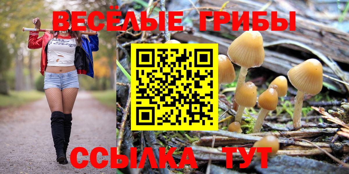 Галлюциногенные грибы Psilocybine cubensis Аша
