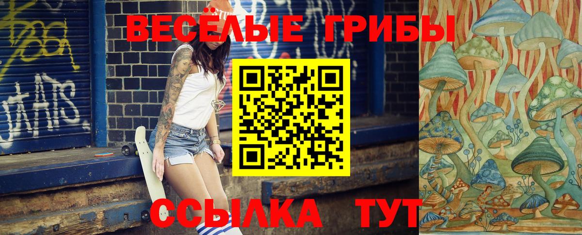 Аша  Галлюциногенные грибы GOLDEN TEACHER  Вход с VPN 